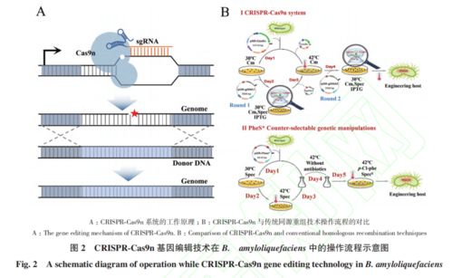 生物技術研究前沿 2024年10月最新上線文章解析